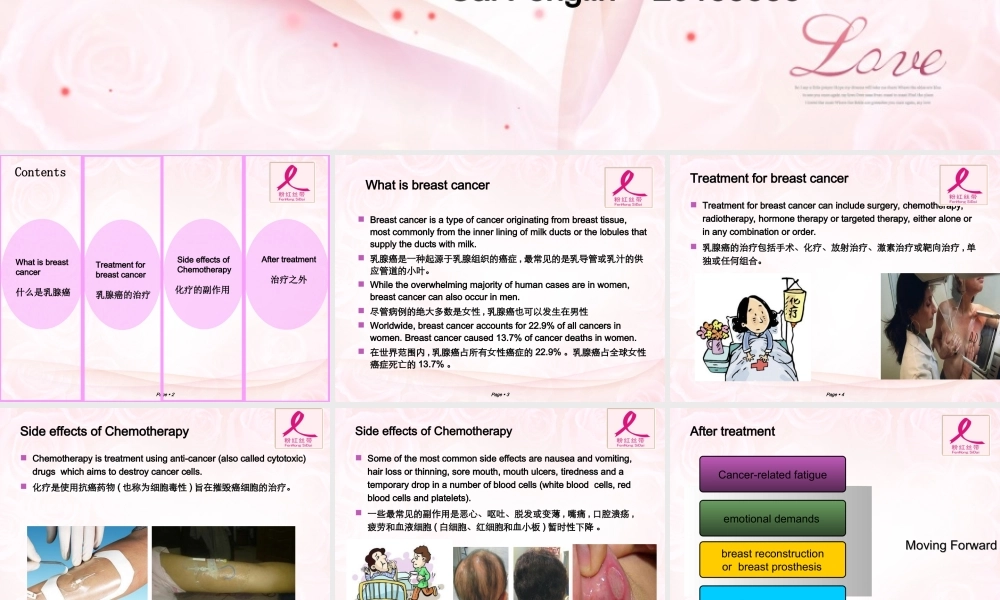 乳腺癌演讲.ppt