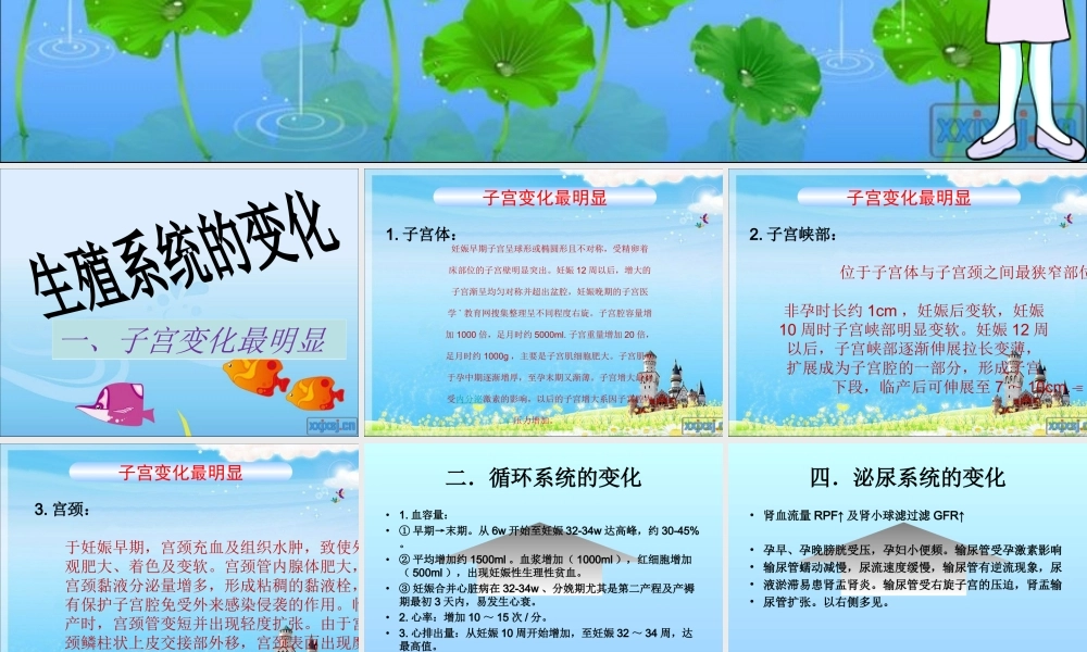 产前、产后的基本生理.ppt