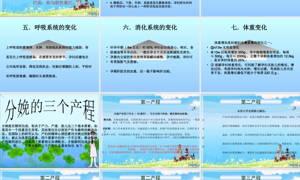 产前、产后的基本生理.ppt