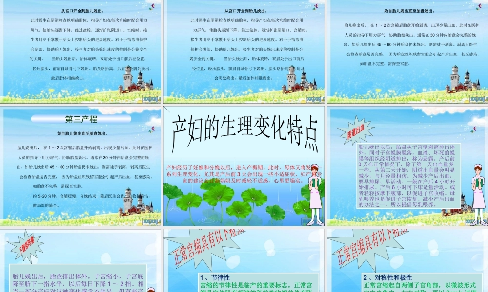 产前、产后的基本生理.ppt