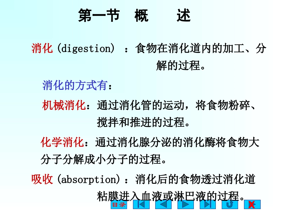消化系统(生理ppt).ppt_第2页