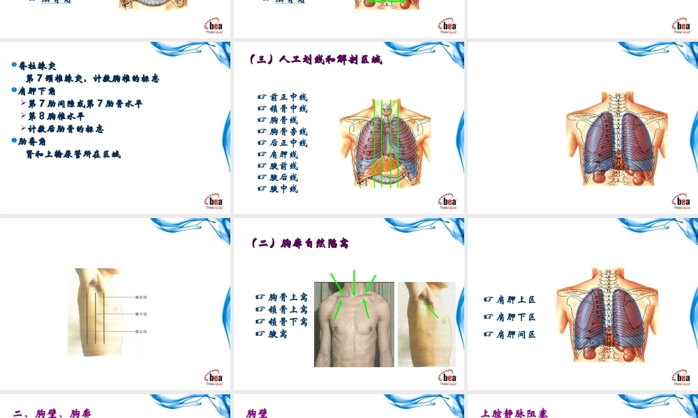 健康评估-胸部检查(理论).ppt