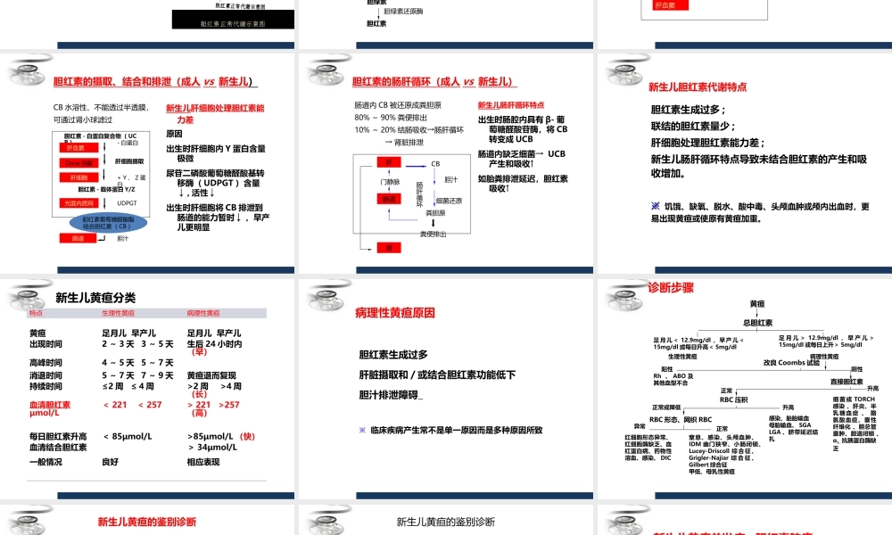 儿科-新生儿黄疸.ppt