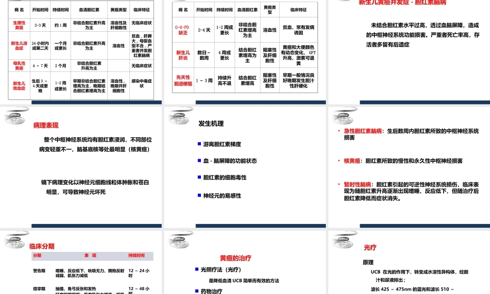 儿科-新生儿黄疸.ppt