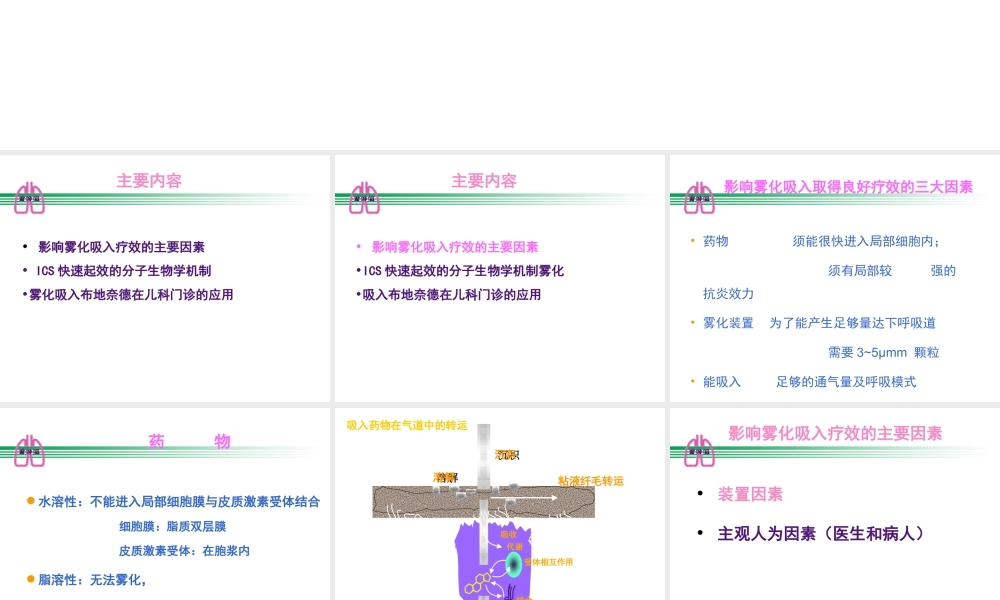 儿科应用-张岩.ppt