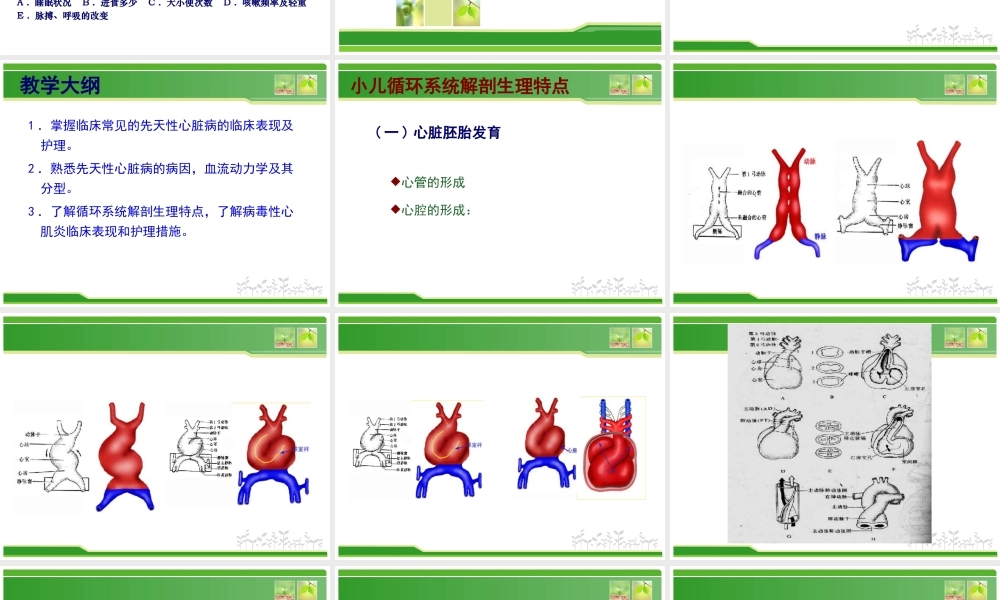 儿科循环.ppt
