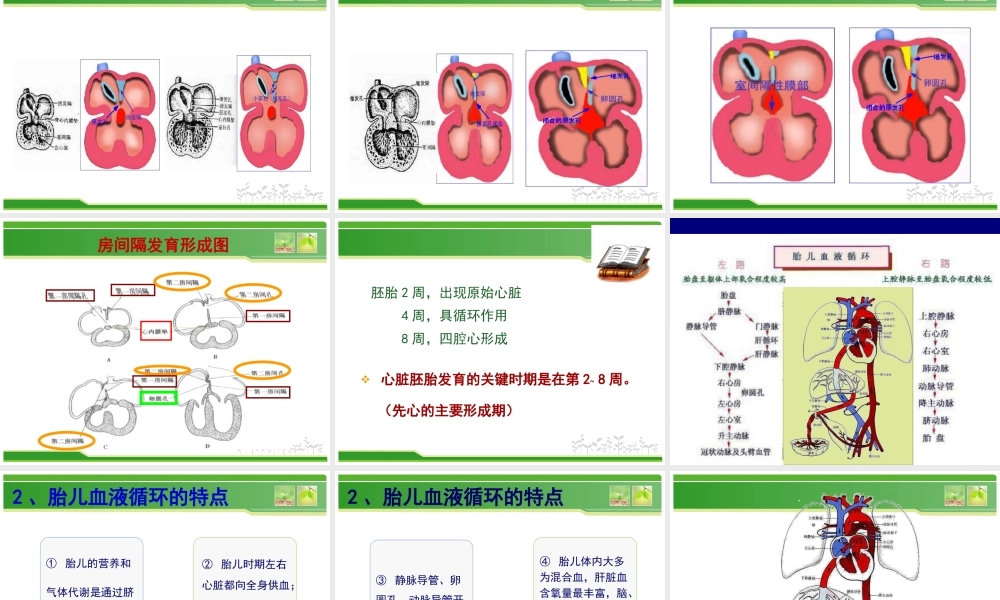 儿科循环.ppt