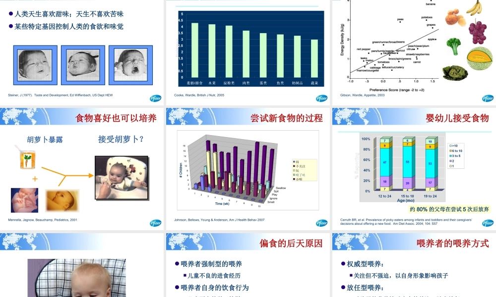 儿童偏食的识别和干预概要.ppt