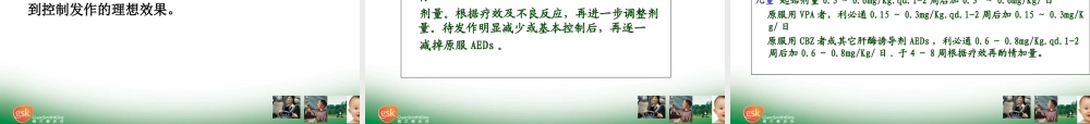 儿童癫痫及难治性癫痫.ppt