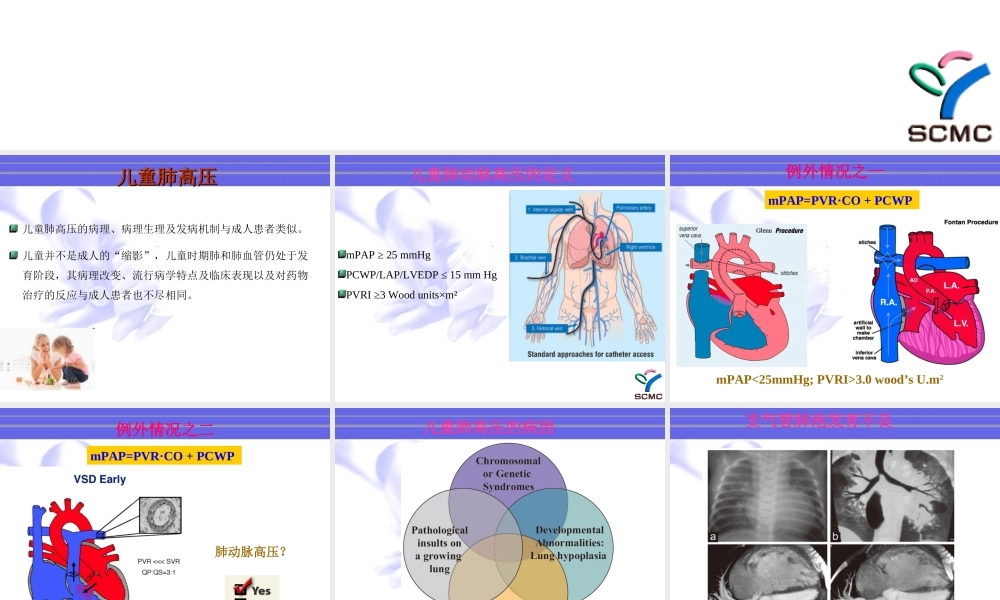 儿童肺动脉高压的特点2012.ppt