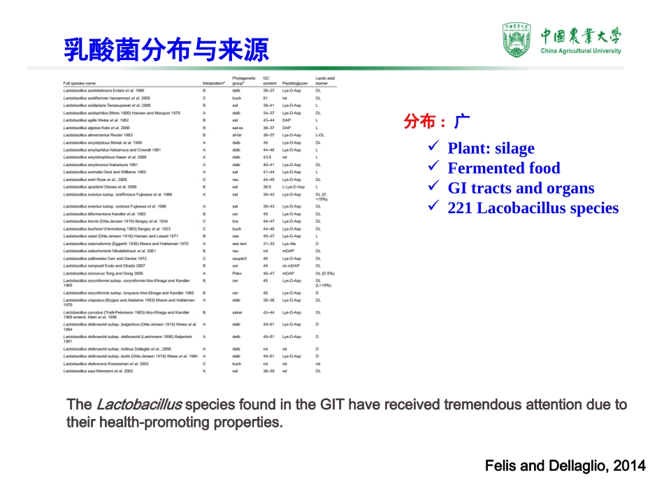 武振龙-乳酸菌与动物肠道健康.pptx_第3页