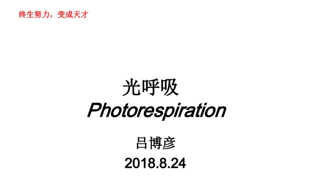 光呼吸-自制.ppt