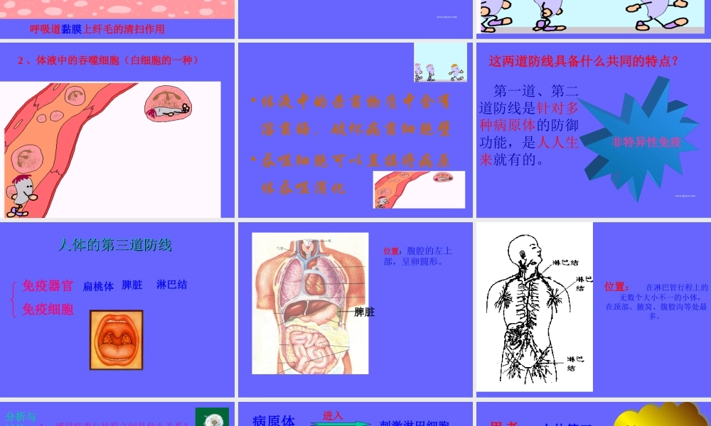 免疫和传染病罗村中学-董奎玺.ppt