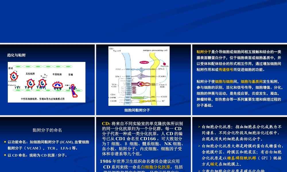 免疫学12-细胞粘附分子.ppt