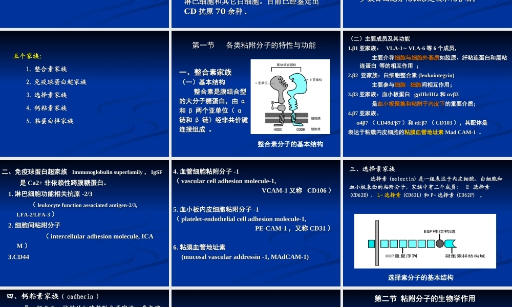免疫学12-细胞粘附分子.ppt