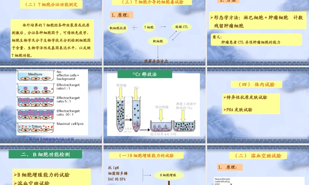 免疫细胞功能检测技术概述.ppt