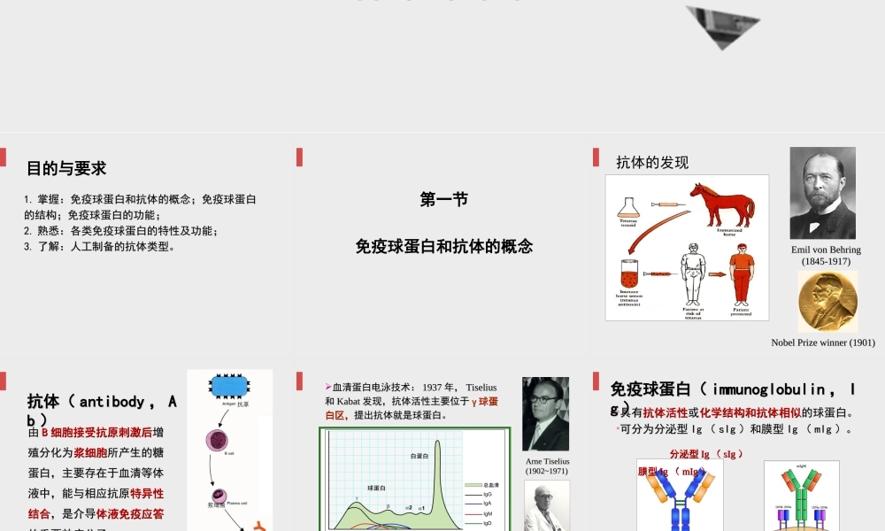免疫球蛋白.ppt