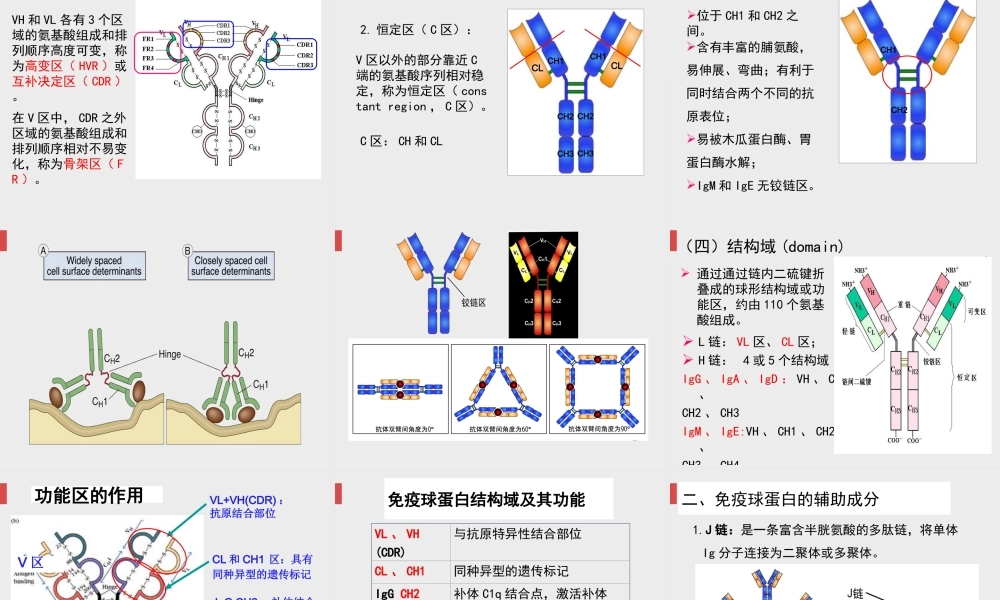 免疫球蛋白.ppt