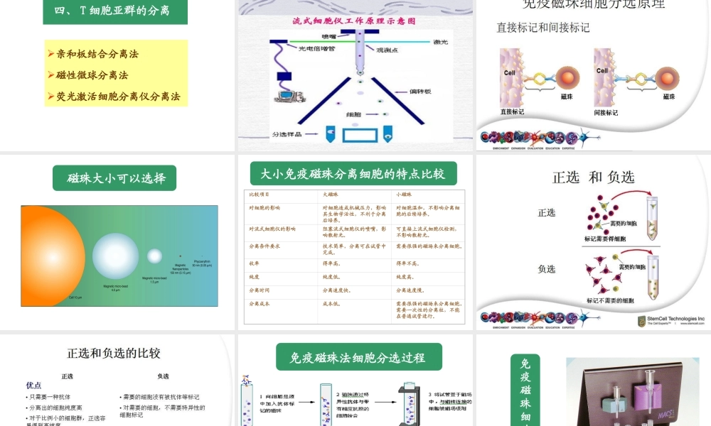 免疫细胞的分离及其表面标志检测技术.ppt