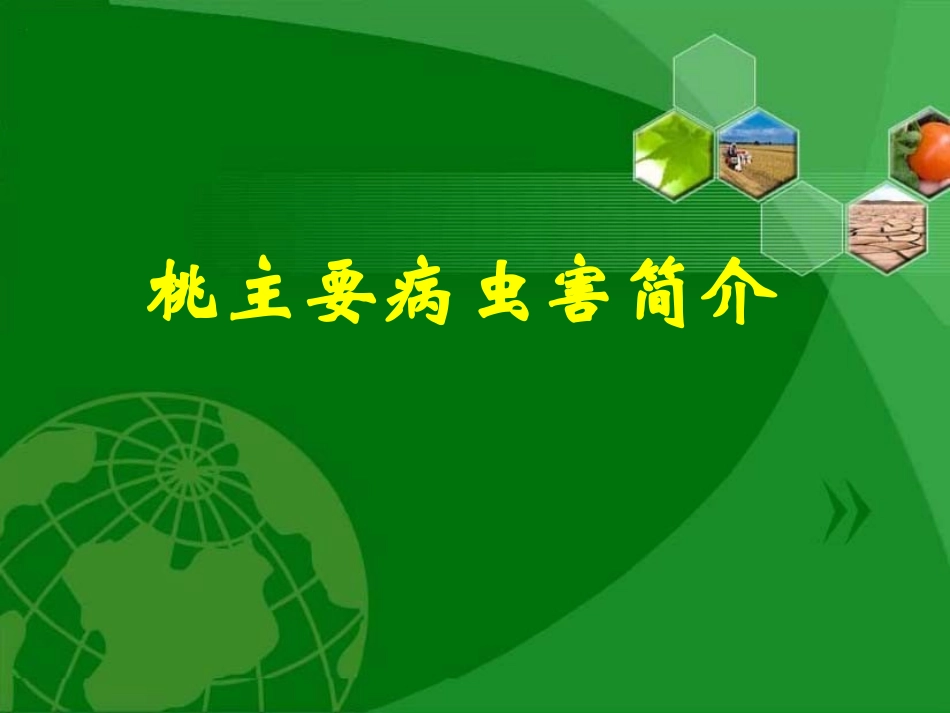 桃主要病虫害.ppt_第1页