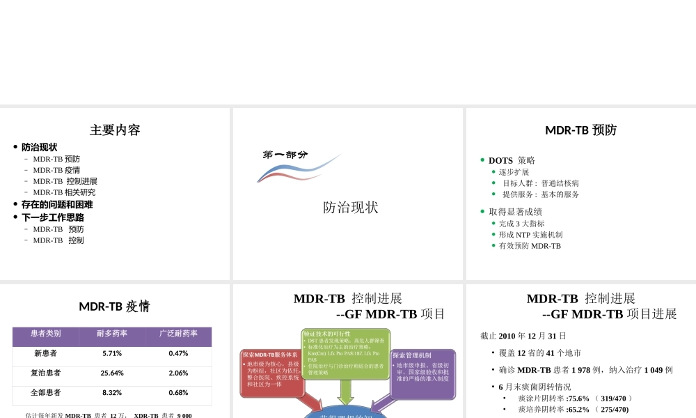 全国耐多药结核病防治现状和下一步工作思路.ppt