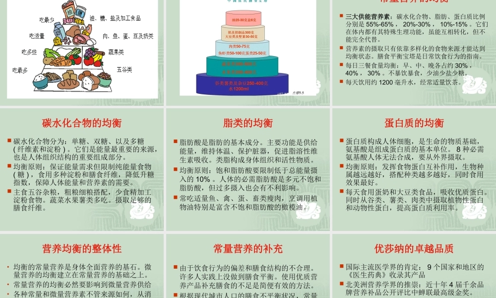 全营养金字塔一(精).ppt
