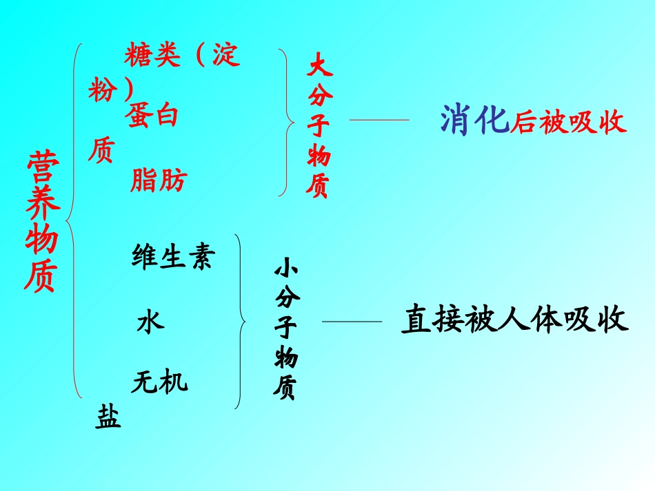 消化与吸收济南版.ppt_第2页