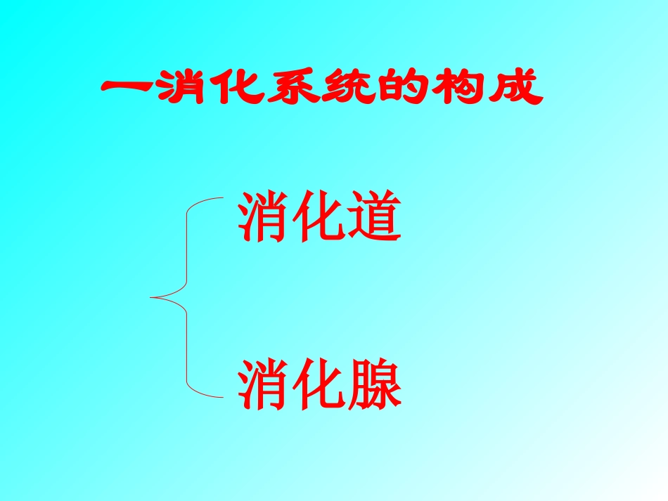 消化与吸收济南版.ppt_第3页