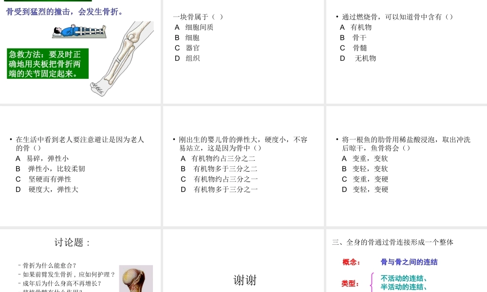 八年级上册骨的结构概要.ppt