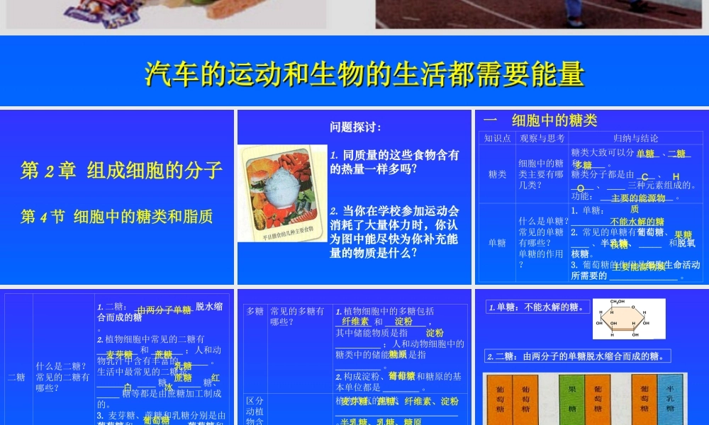 公开课细胞中的糖类和脂质.ppt