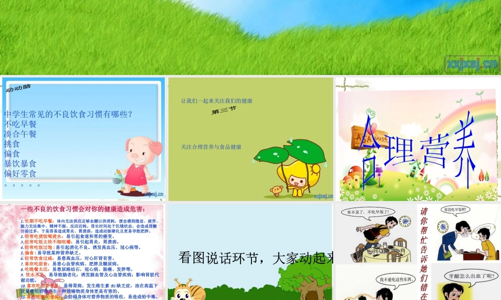 关注合理营养与食品安全PPT.ppt