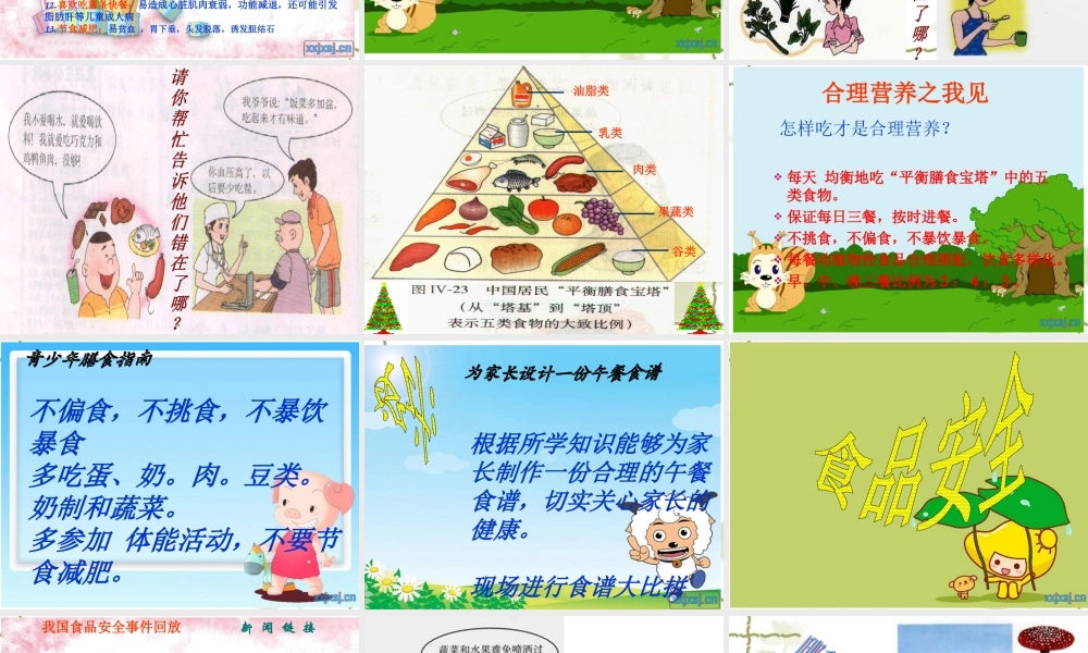 关注合理营养与食品安全PPT.ppt