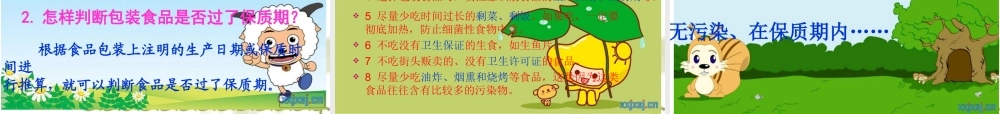 关注合理营养与食品安全PPT.ppt