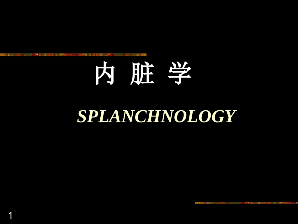 消化系统2013ppt.ppt_第1页