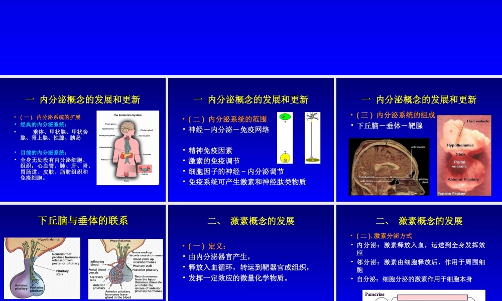 内分泌总论.ppt