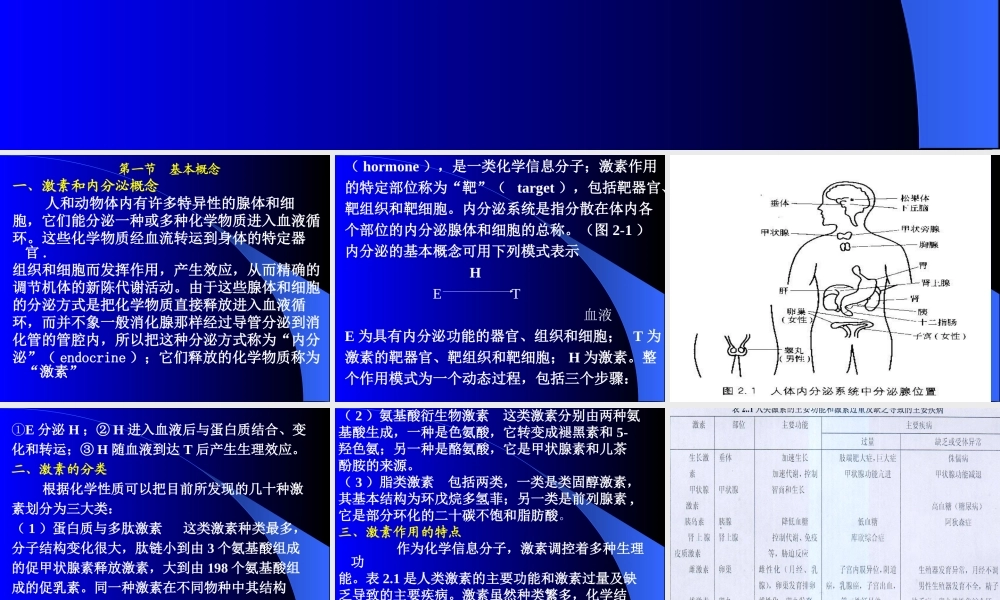 内分泌学基础.ppt