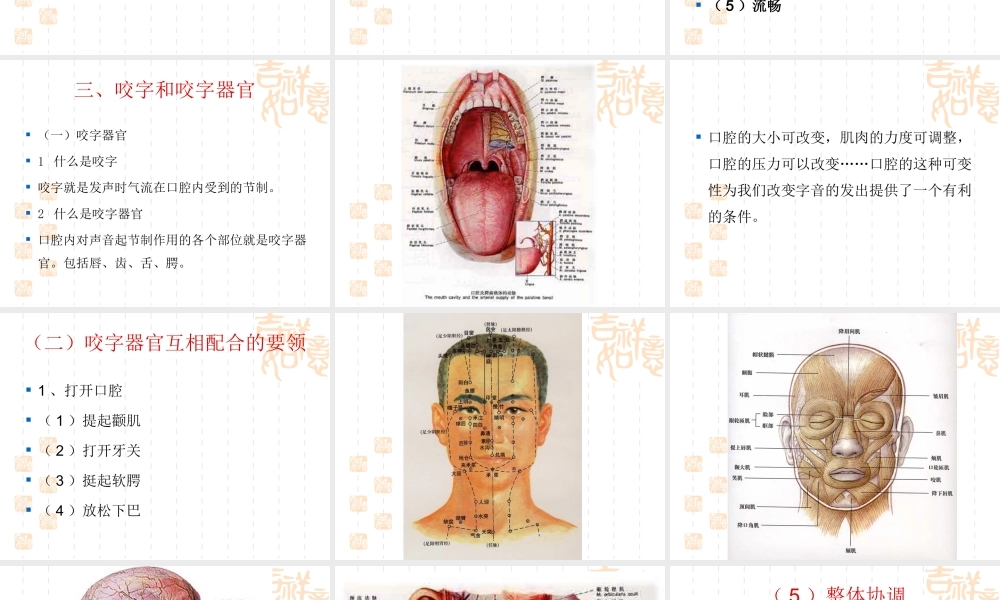 口腔控制与吐字归音.ppt