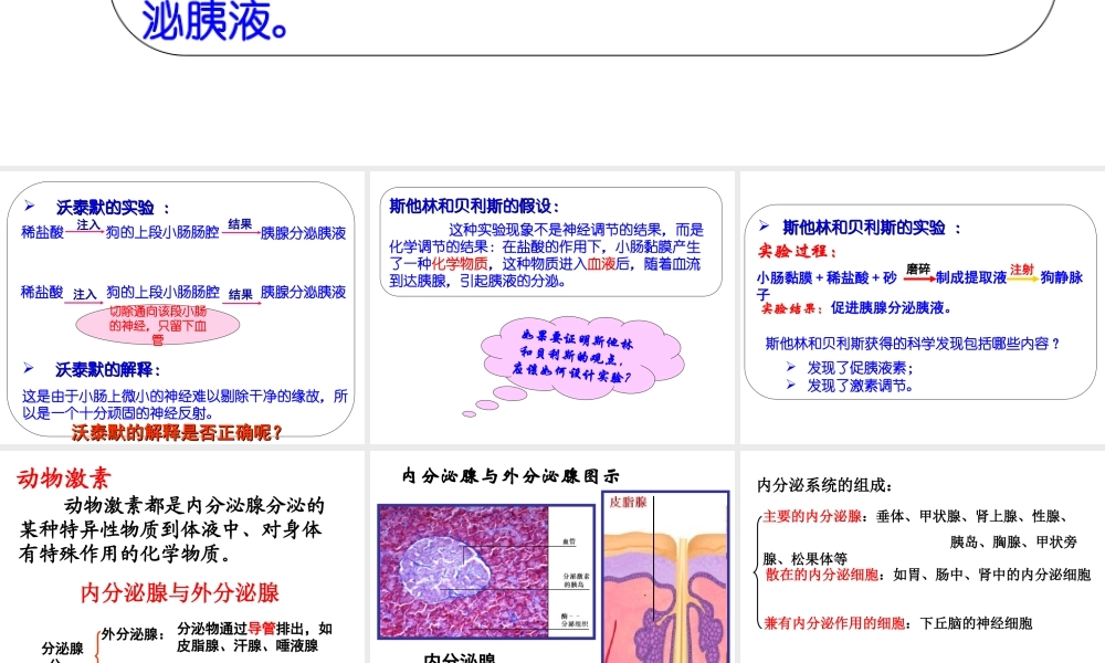 内分泌系统与体液调节.ppt