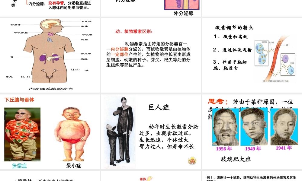 内分泌系统与体液调节.ppt