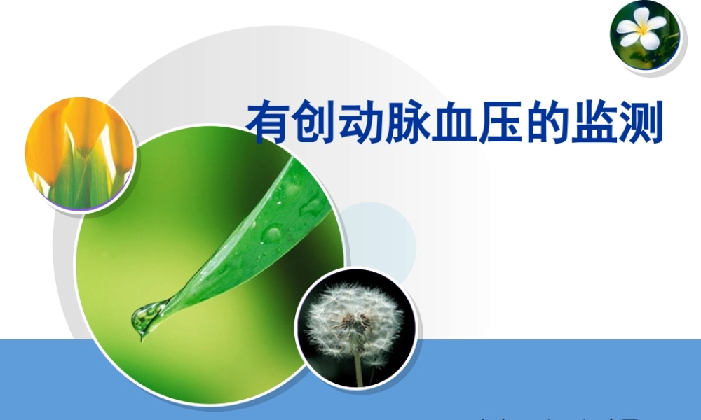 有创动脉血压的监测.ppt