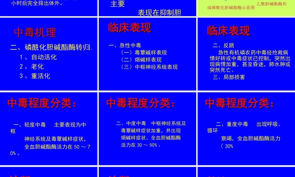 有机磷农药中毒..ppt