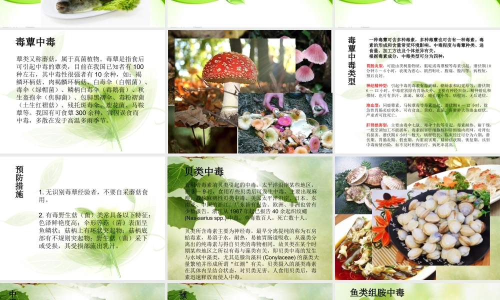 有毒动植物食物中毒.ppt