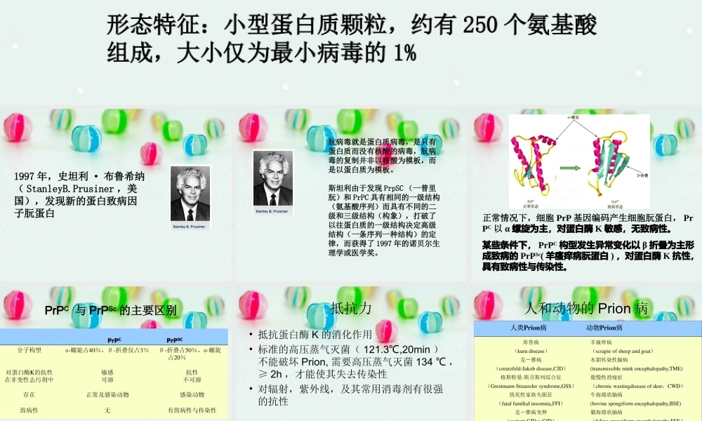 朊蛋白PPT剖析.ppt