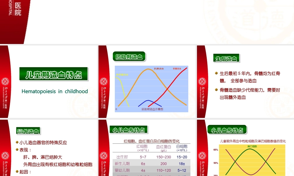 本科-造血特点-ALL-ITP-2013-B.ppt