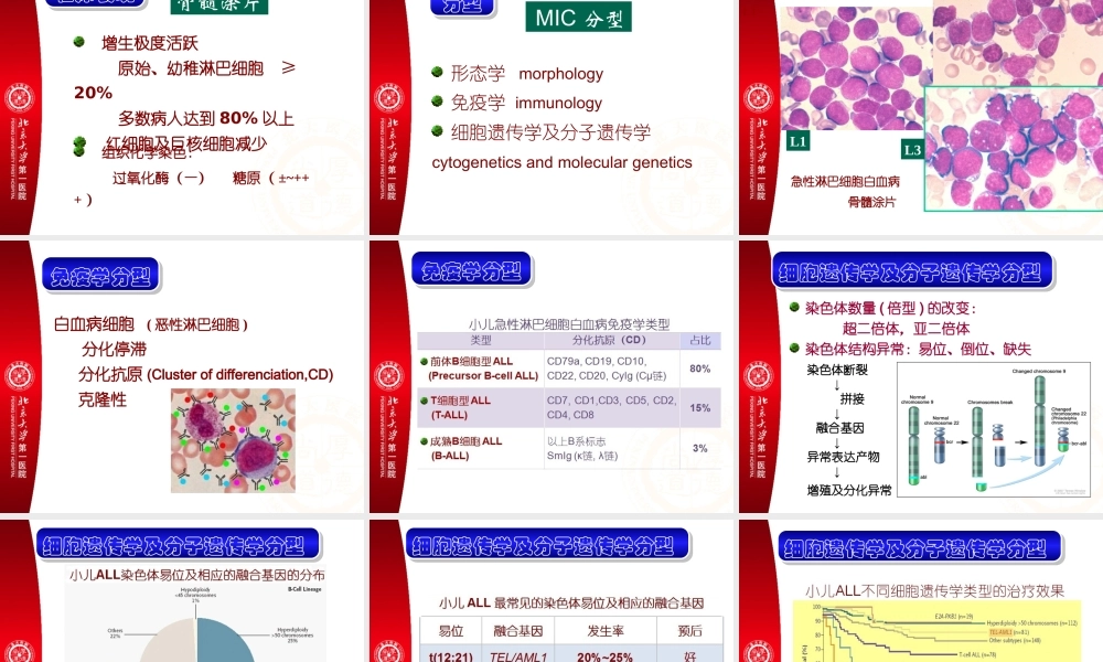 本科-造血特点-ALL-ITP-2013-B.ppt