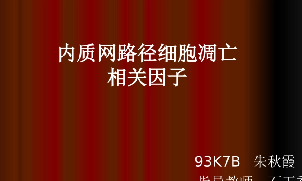内质网路径细胞凋亡相关因子朱秋霞.ppt