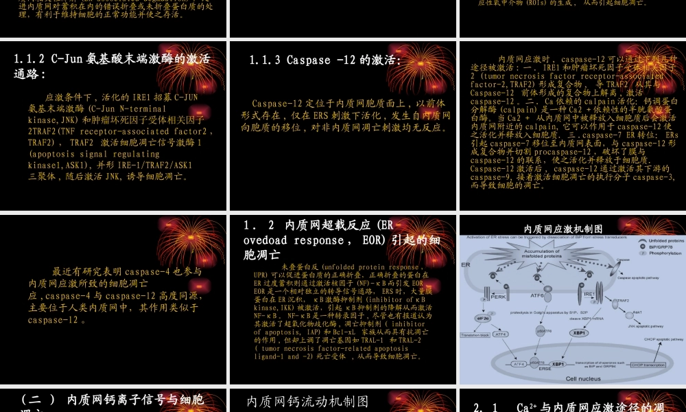 内质网路径细胞凋亡相关因子朱秋霞.ppt