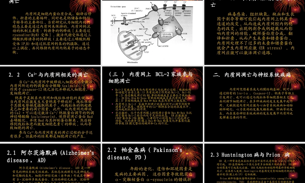 内质网路径细胞凋亡相关因子朱秋霞.ppt