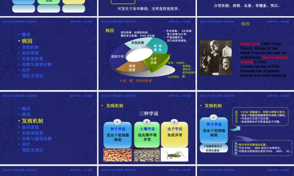 再生障碍性贫血教学PPT.ppt