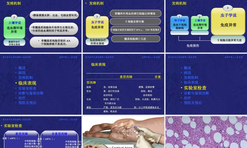 再生障碍性贫血教学PPT.ppt